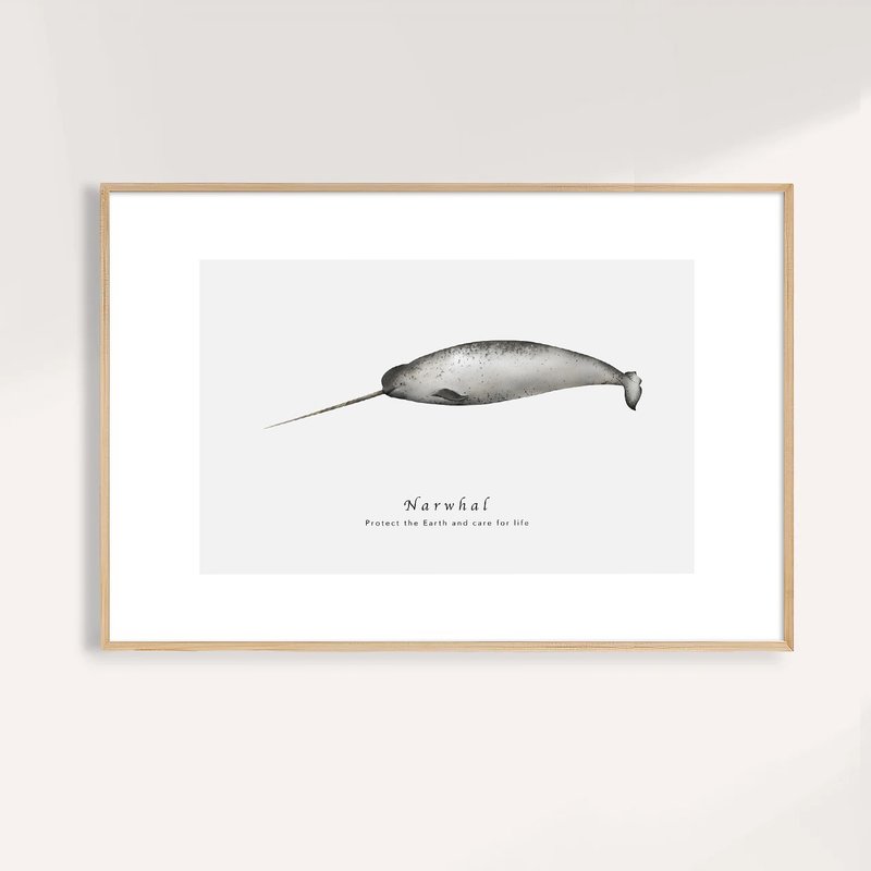 独角鲸 Narwhal / 海洋动物插画挂画 / 艺术无框输出 - 海报/装饰画/版画 - 纸 