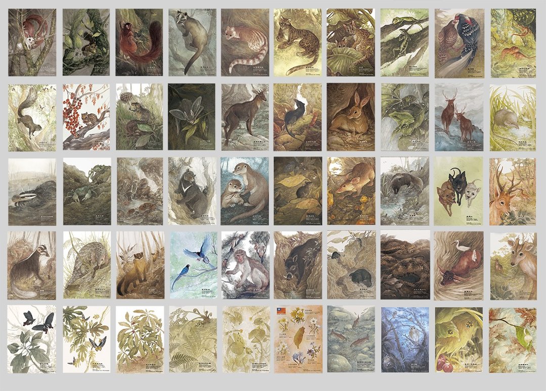 多款 台湾特有种  特有亚种 插画明信片 - 卡片/明信片 - 纸 