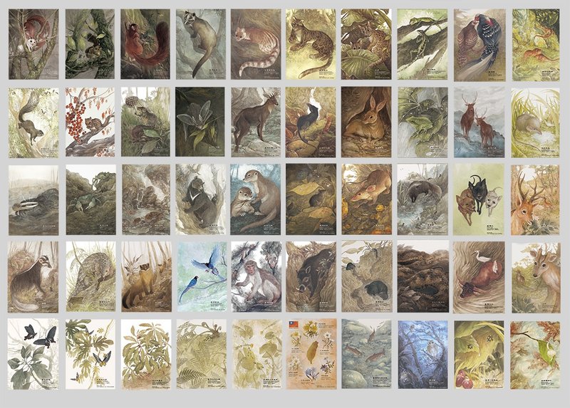 48款 台湾特有种  特有亚种 插画明信片 - 卡片/明信片 - 纸 