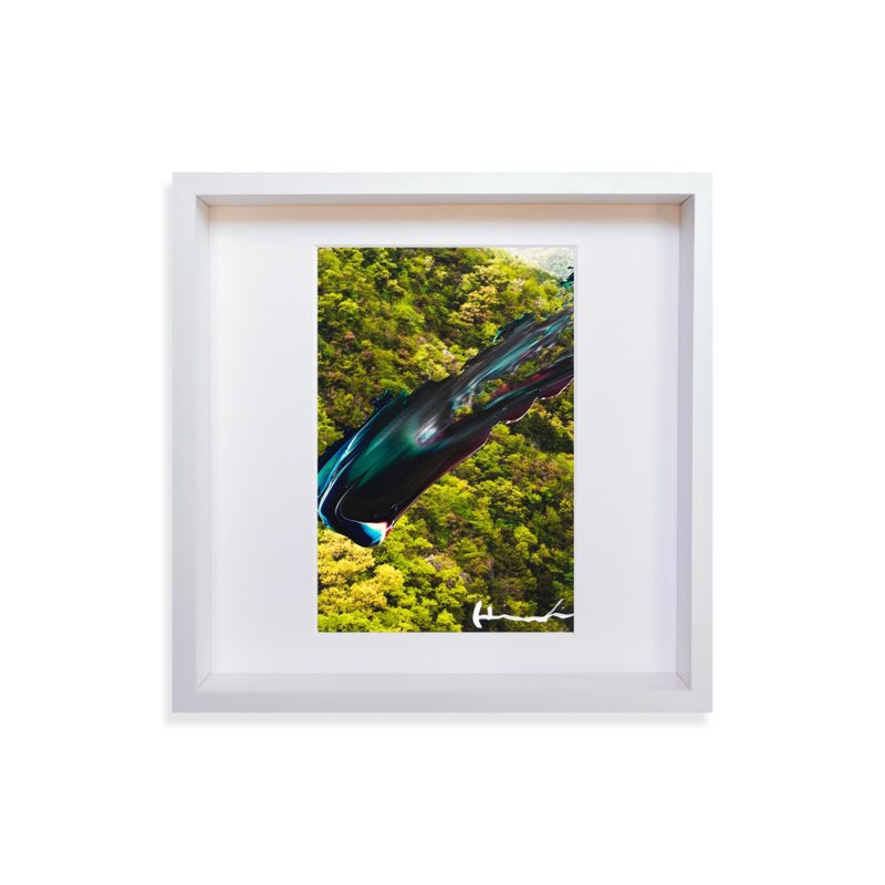 【摄影艺术】绿色与黄色摄影挂画/森林挂画/房间布置/木框/现代风 - 插画/绘画/写字 - 压克力 绿色