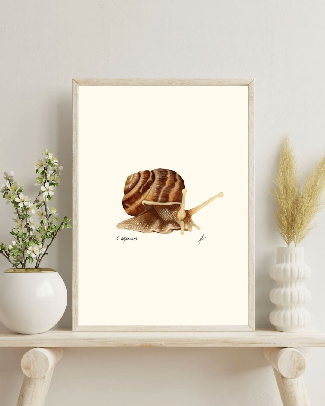 手绘庭园蜗牛自然史插画, 数字下载 - 电子手绘真人画像/绘画/插画 - 其他材质 