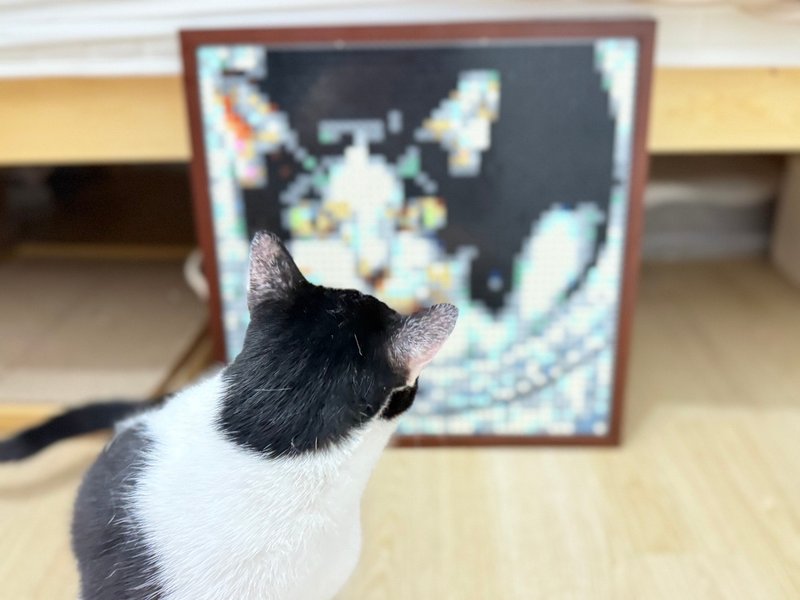 【定制】标准尺寸 像素风格积木画 宠物 猫咪 纪念 礼物 家人 - 抓板/跳台 - 塑料 银色