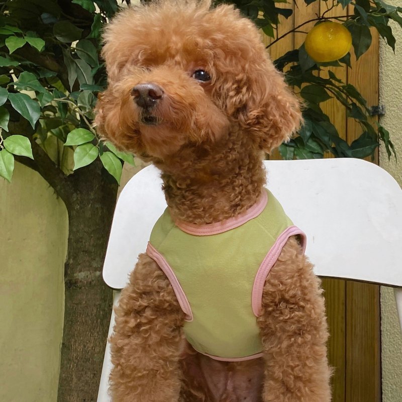 舒柔比比衣(抹茶拿铁)_Bebe4系列_S-6L,FB 柔软弹性 - 衣/帽 - 聚酯纤维 