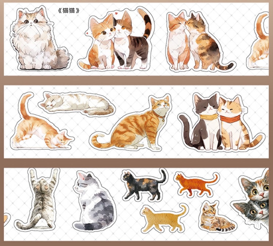 猫猫 PET 纸胶带 - 纸胶带 - 其他材质 多色