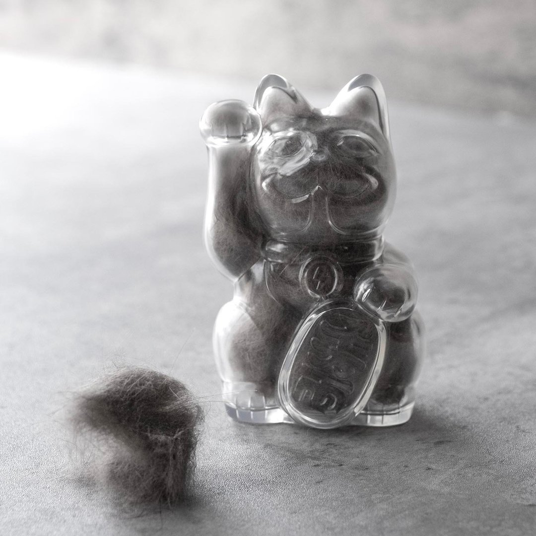 招财猫巴夫钱罂-透明-可收集猫咪毛 - 玩偶/公仔 - 塑料 透明