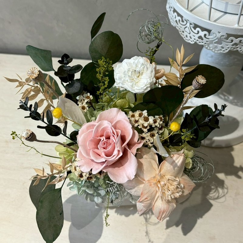 永生盆花 情人节 开幕送礼 自然色系 - 干燥花/捧花 - 植物．花 绿色