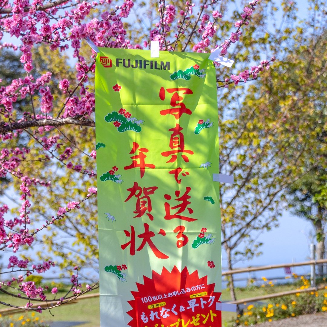 桑惠商号  昭和日本制 富士FUJIFILM 特别色印刷广告旗帜 直式 - 摆饰 - 丝．绢 多色