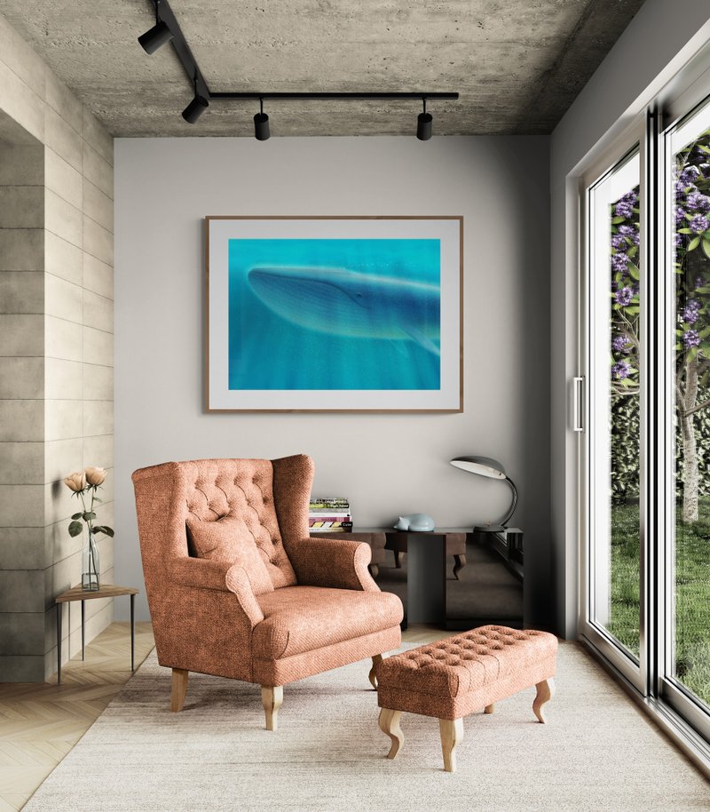 ToyJay王俊杰/海洋系列微喷海报/蓝鲸(送4x6寸照片20张) - 海报/装饰画/版画 - 纸 蓝色