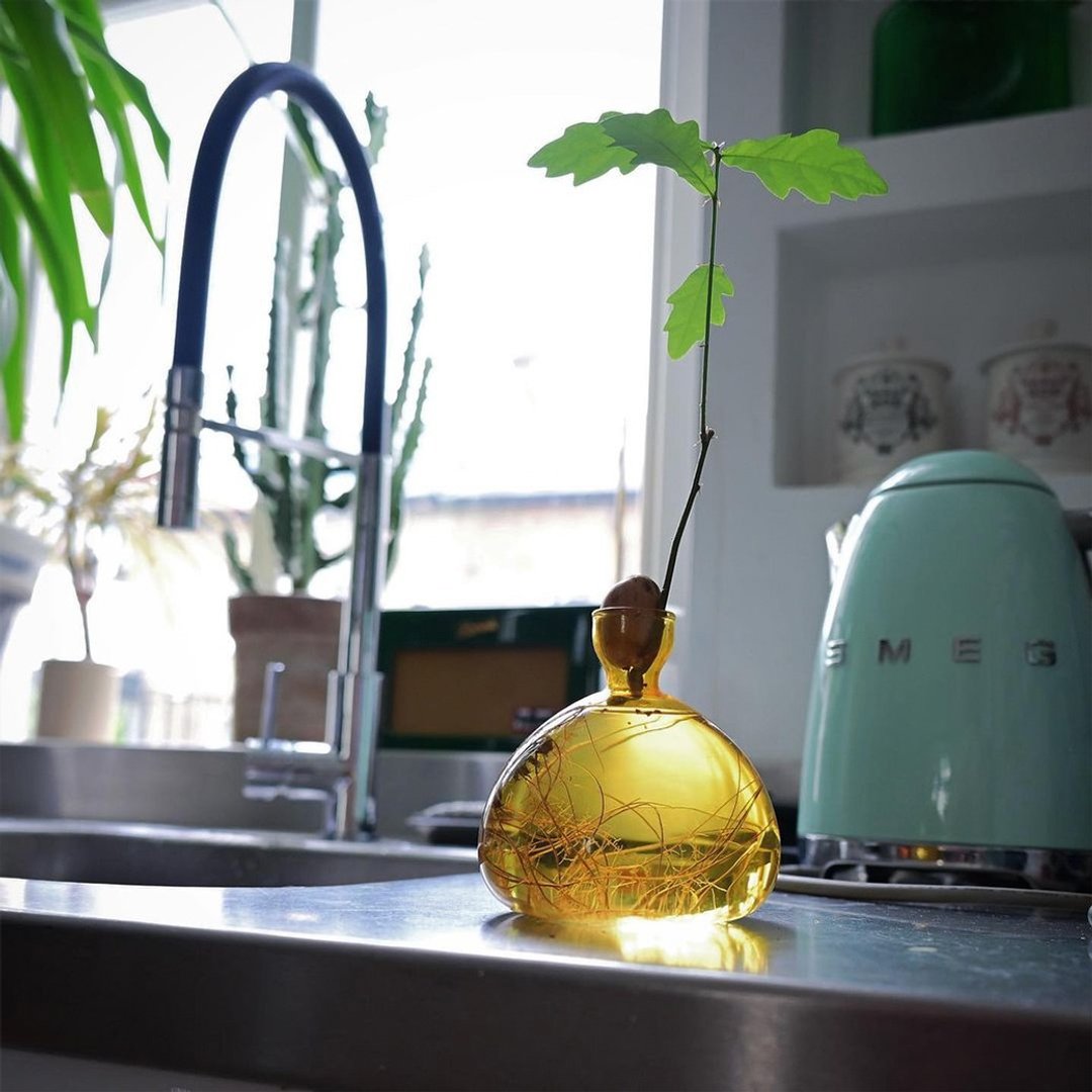 ILEX STUDIO | 橡实玻璃花器 复古黄 - 花瓶/陶器 - 玻璃 黄色