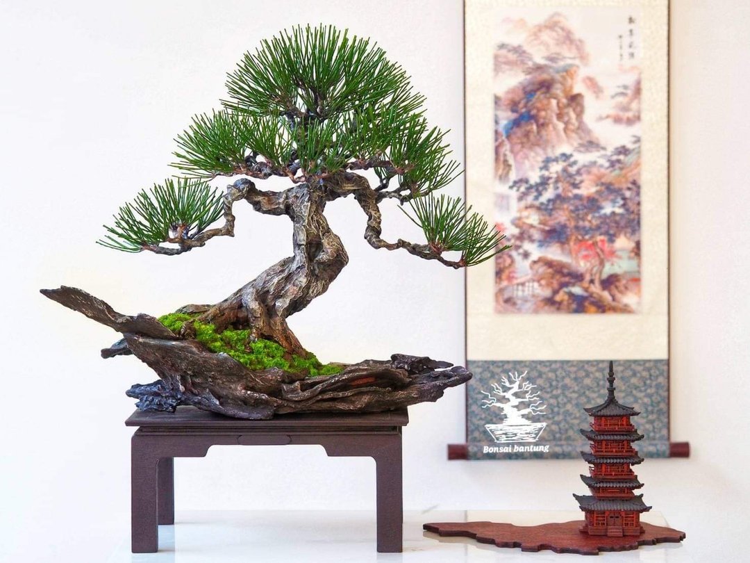 Artificial bonsai model  model scenery Home garden decoration  Gift for adult - 植栽/盆栽 - 其他材质 