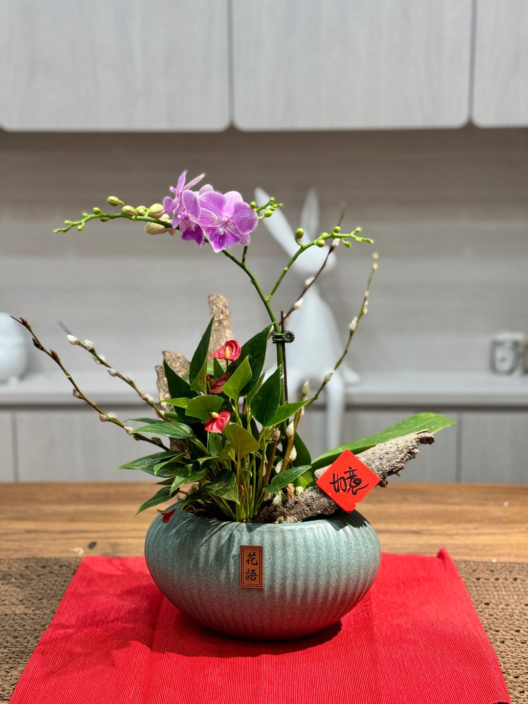 兰花花礼  限台中 - 植栽/盆栽 - 植物．花 多色