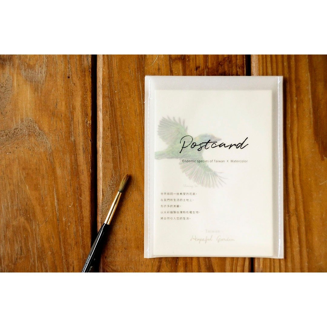 【希望之庭 X 屏东感】屏东特有种植物与鸟明信片套组 - 卡片/明信片 - 纸 白色