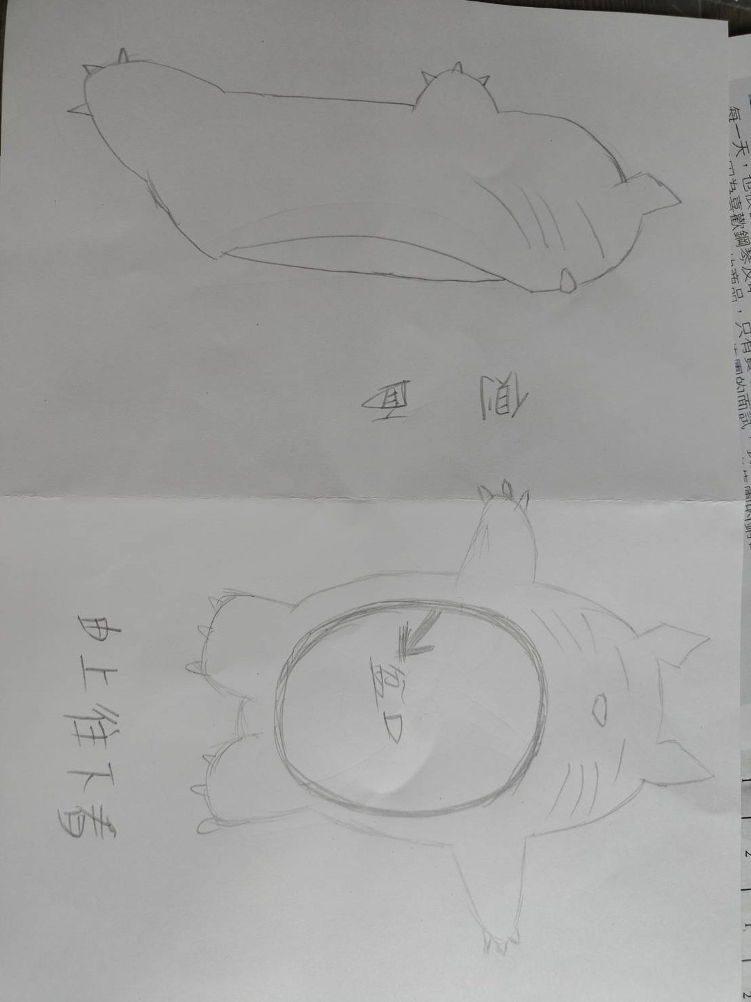 造型陶盆张小姐订制品 - 植栽/盆栽 - 陶 