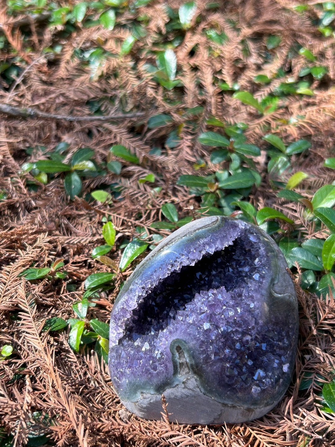 华光-藏晶阁 | 乌拉圭开口笑紫水晶晶洞  | 对应眉心轮 顶轮 - 保温瓶/保温杯 - 玻璃 