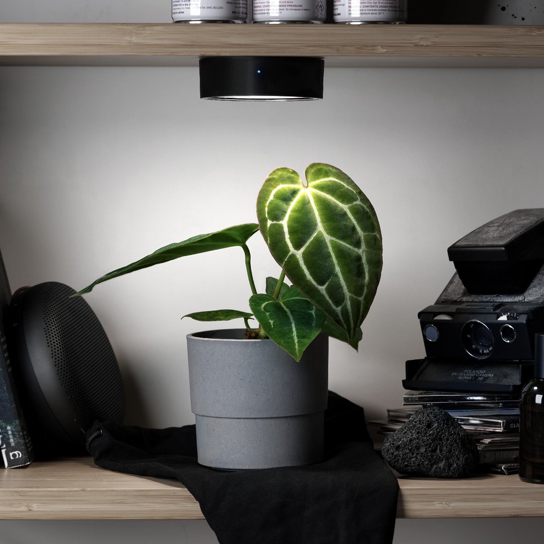 ONF MIST O 植雾光 - 全光谱LED磁吸植物灯 植栽 室内植物 - 灯具/灯饰 - 其他材质 黑色