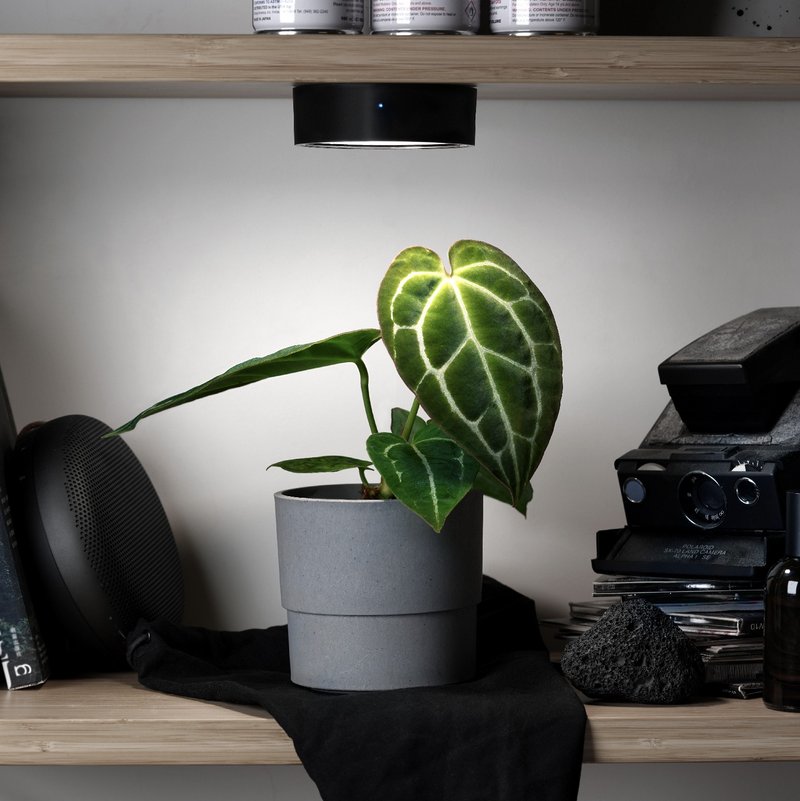 ONF MIST O 植雾光 - 全光谱LED磁吸植物灯 植栽 室内植物 - 灯具/灯饰 - 其他材质 黑色