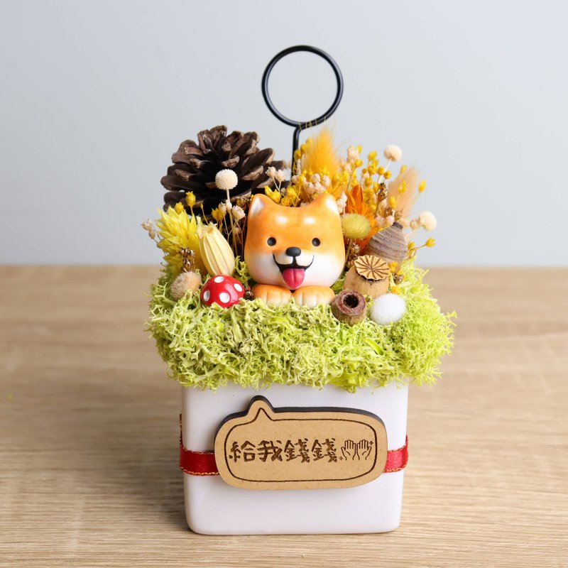现货-柴圆滚滚汪 干燥花名片夹 字牌可定制 生日开幕毕业圣诞礼物 - 名片架/名片座 - 瓷 橘色