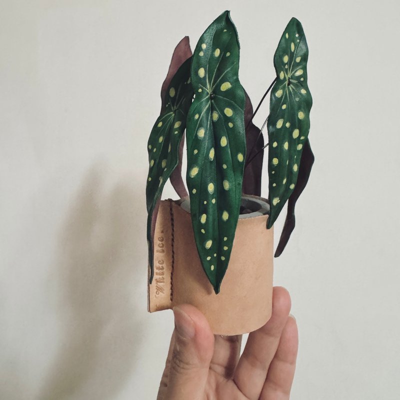 星点秋海棠皮革小品 - 植栽/盆栽 - 真皮 