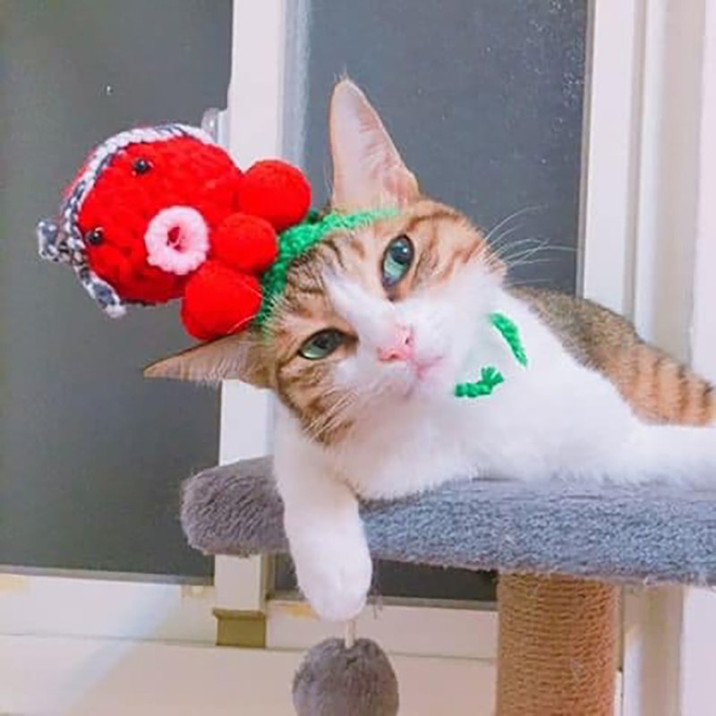 毛线编织帽/宠物毛线帽/章鱼烧小老板/犬猫头套/宠物狗狗猫咪毛线 - 衣/帽 - 棉．麻 多色