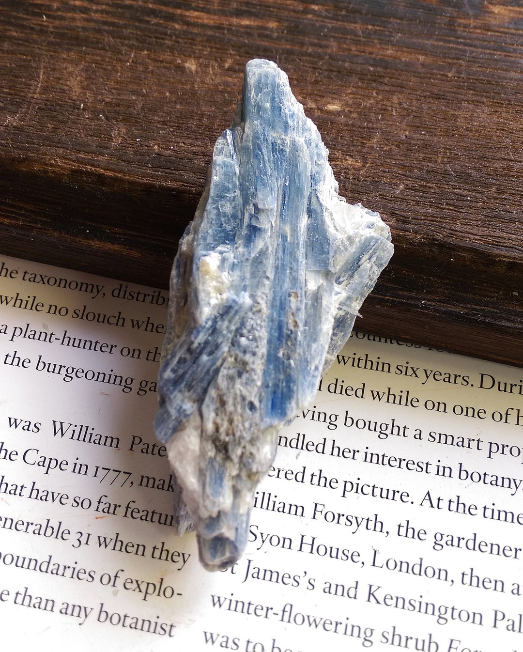Kyanite 巴西产地 蓝晶石 石英共生矿 天然矿石 原矿 - 摆饰 - 其他材质 