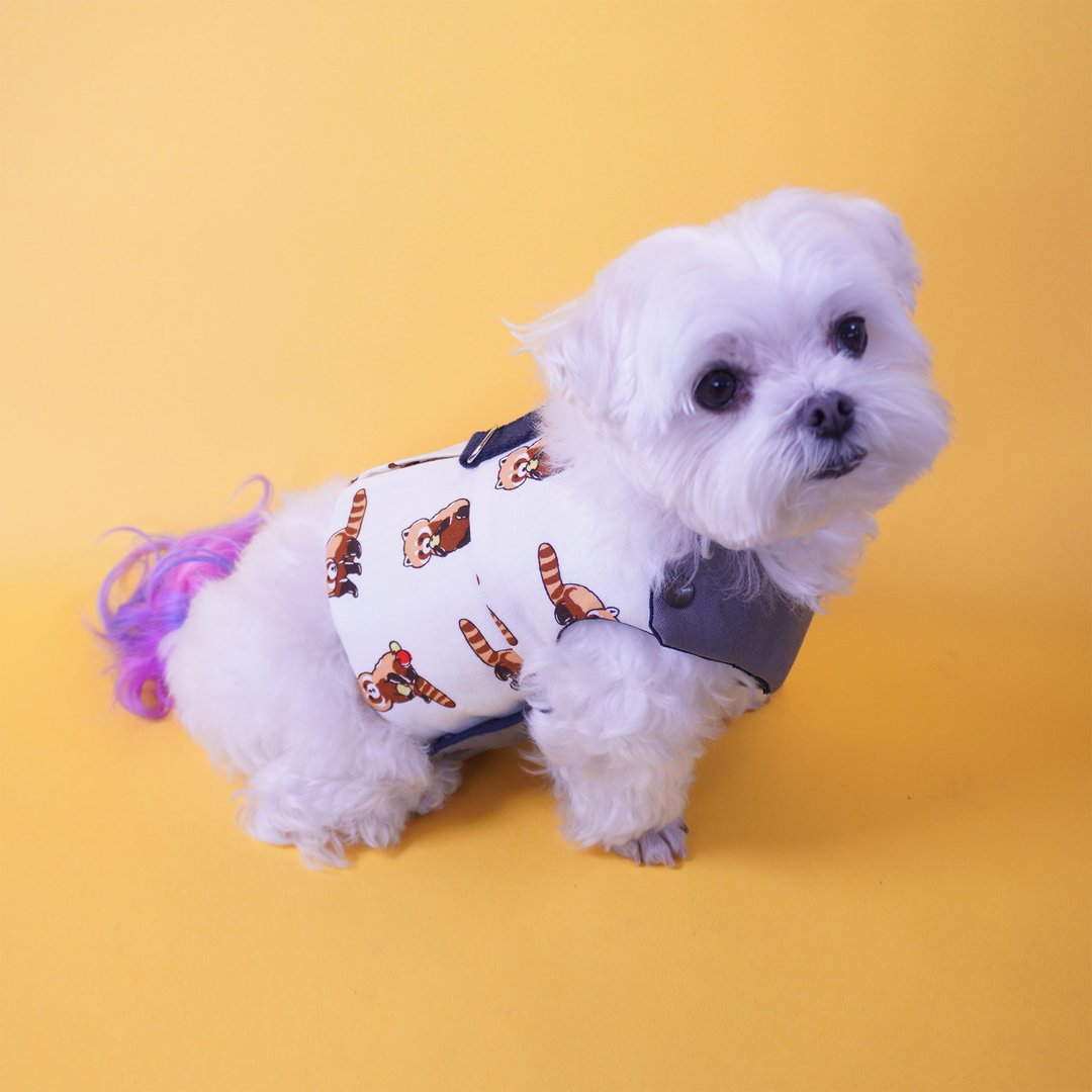 小型犬胸背衣-浣熊印花( 附牵绳约120cm ) - 衣/帽 - 棉．麻 白色