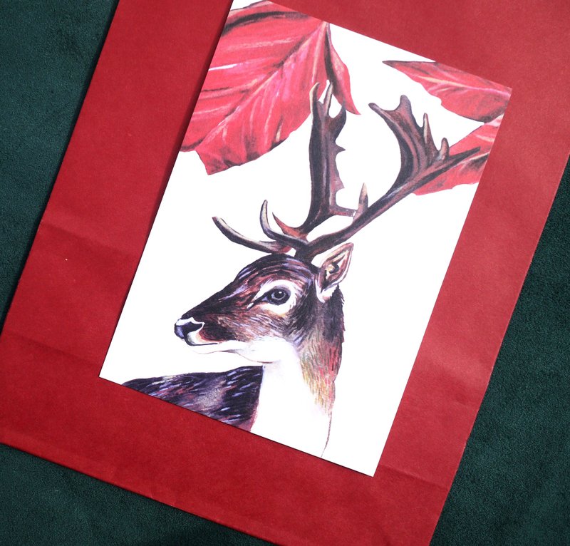 圣诞福袋组合-- 红 - 卡片/明信片 - 纸 红色