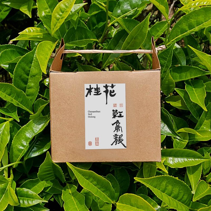 桂花红乌龙 | 茶包10入【熟韵桂香】 - 茶 - 新鲜食材 