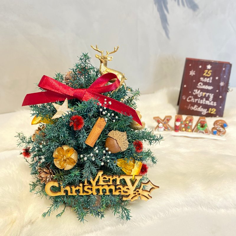 不凋小小圣诞树 夜灯 附礼盒及电池 - 干燥花/捧花 - 植物．花 多色