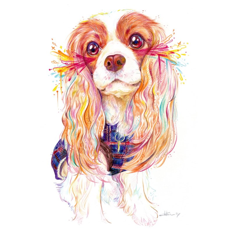 Pet Portrait 宠物肖像 / 21x30cm (8x12寸) / 一只一张 / 色铅笔 - 其他 - 纸 