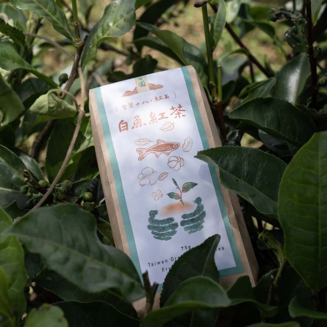 【小农礼品】有机白鱼红茶│友善作物/台湾茶/红玉/有机红茶 - 茶 - 新鲜食材 绿色