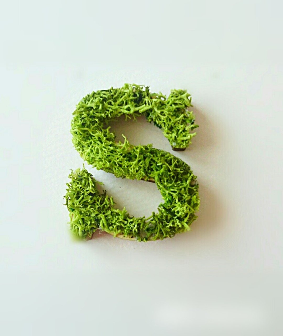 Wooden Alphabet Object (Moss) 5cm/Sx 1 piece - 摆饰 - 木头 绿色