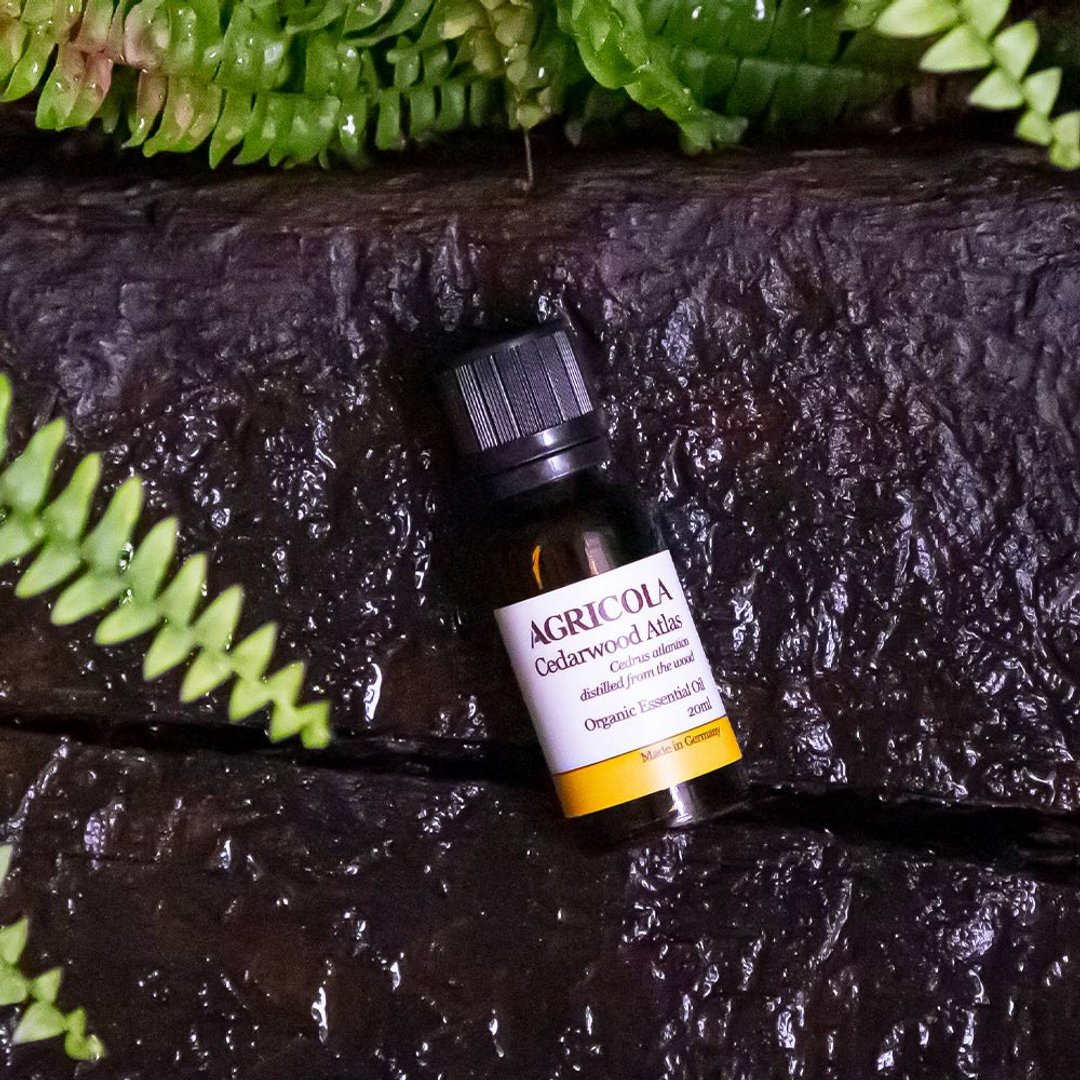 有机大西洋雪松精油 -  德国原装进口 纯植物萃取 天然扩香 - 香薰/精油/线香 - 精油 黄色