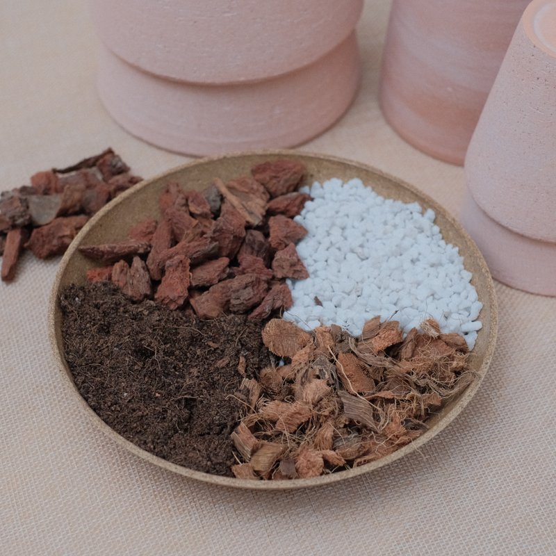 土壤介质 - 植栽/盆栽 - 植物．花 