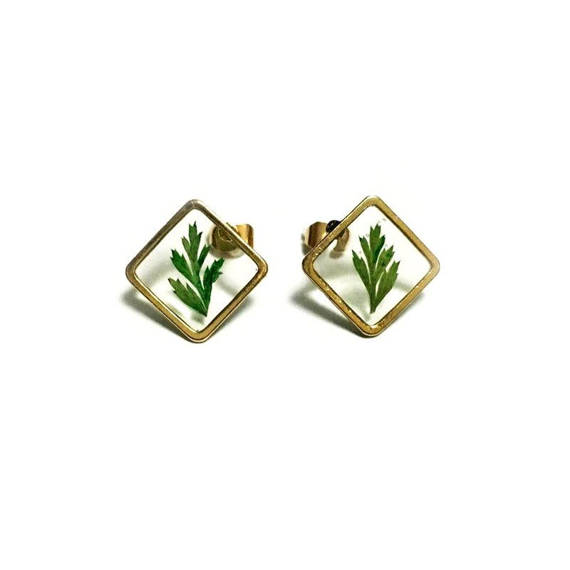 Golden Framed Earrings 押花耳环 - 耳环/耳夹 - 其他金属 金色
