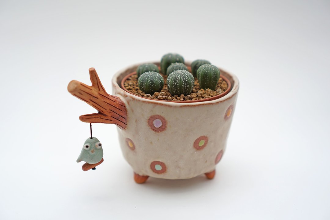 Branch plant pot for cactus ,little bird , handmade ceramic , pottery - 植栽/盆栽 - 陶 多色