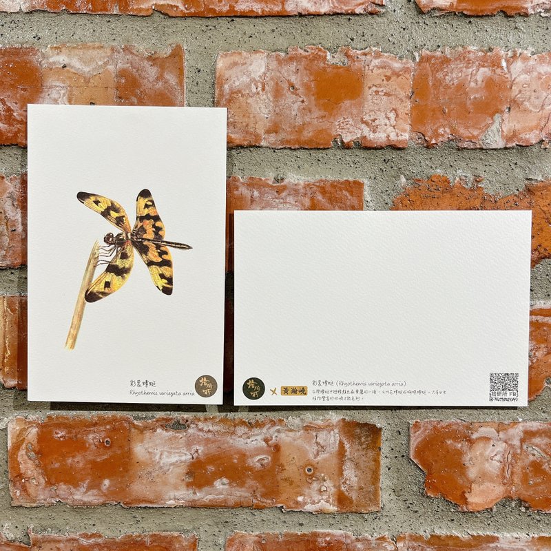 生物绘图明信片-森林与昆虫by黄瀚峣老师作品 - 卡片/明信片 - 纸 绿色