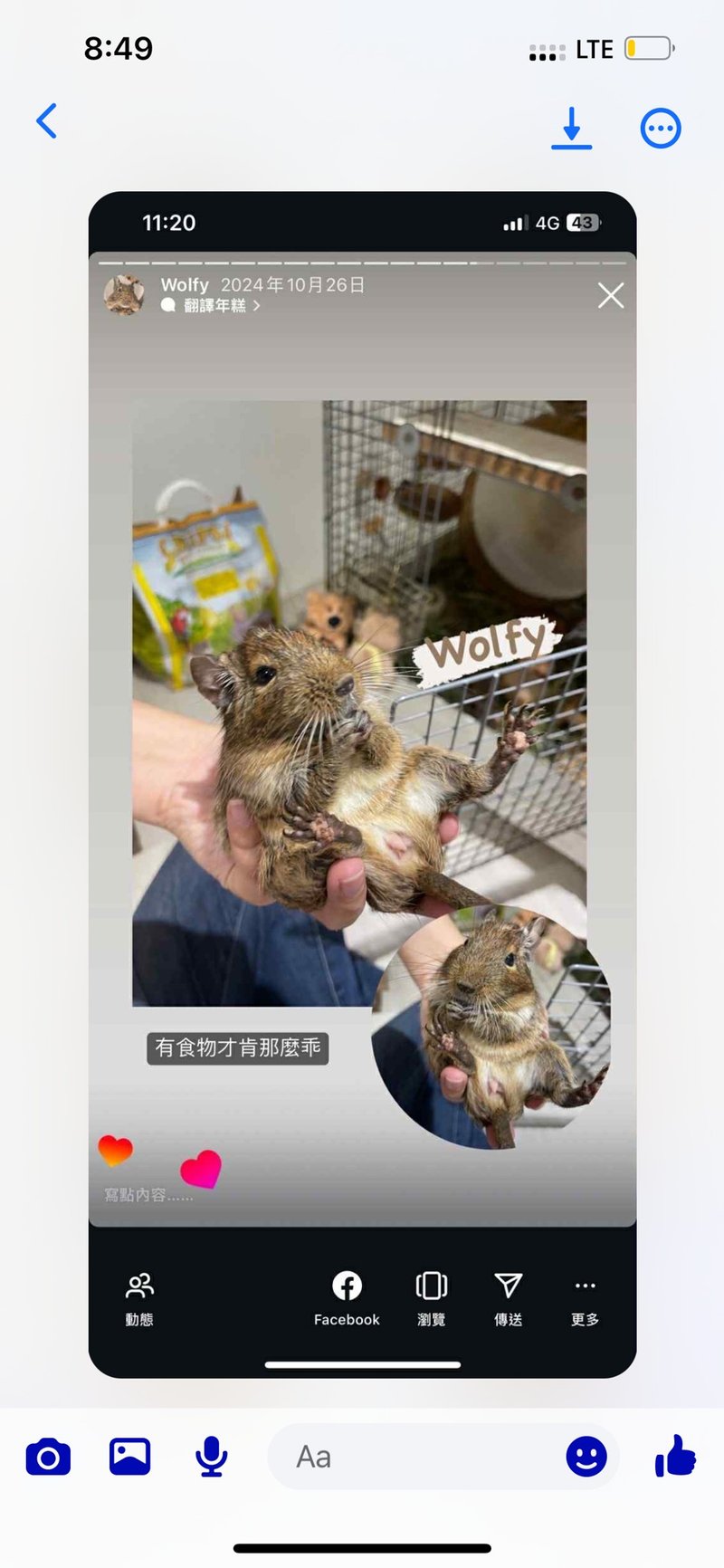 Wolfy 952纯银珍珠项链订造 - 项链 - 珍珠 