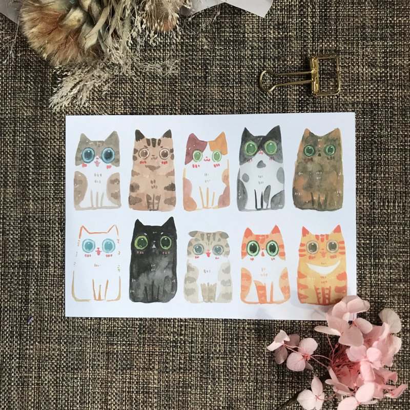 方块猫明信片 - 卡片/明信片 - 纸 多色