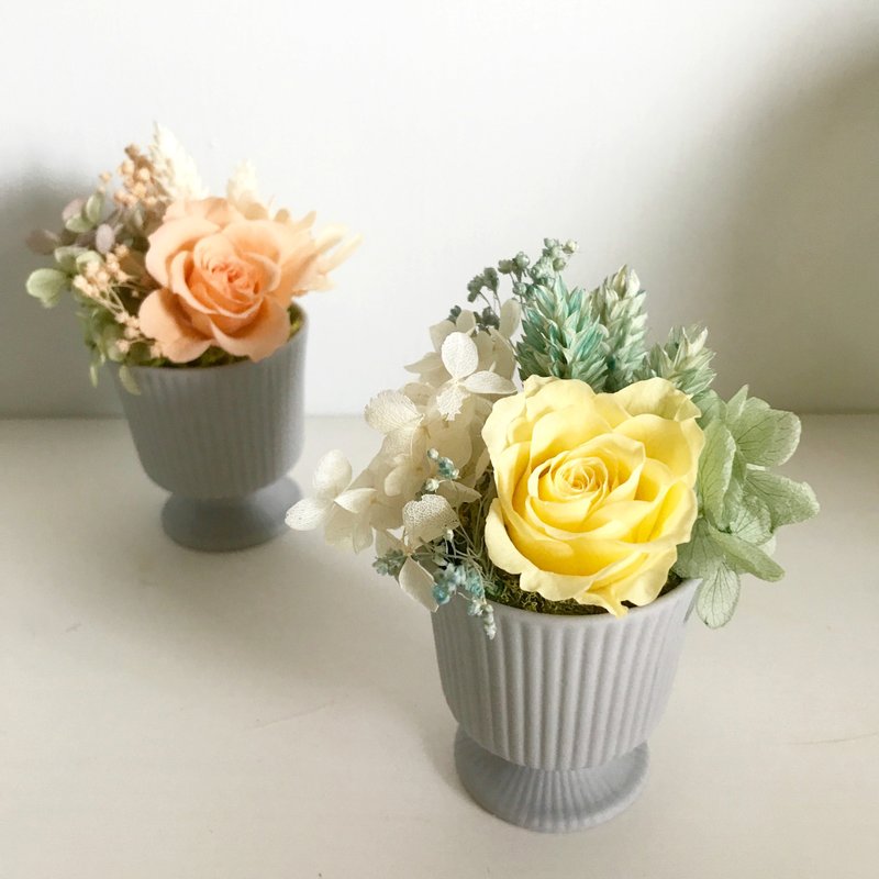 不凋花掌心玫瑰桌花 (黄柠或橙橘) - 植栽/盆栽 - 植物．花 黄色