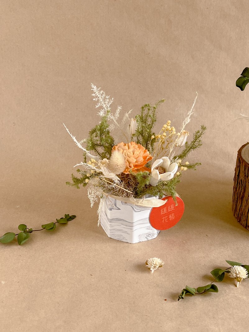 草原的日光 - 干燥花/捧花 - 植物．花 多色