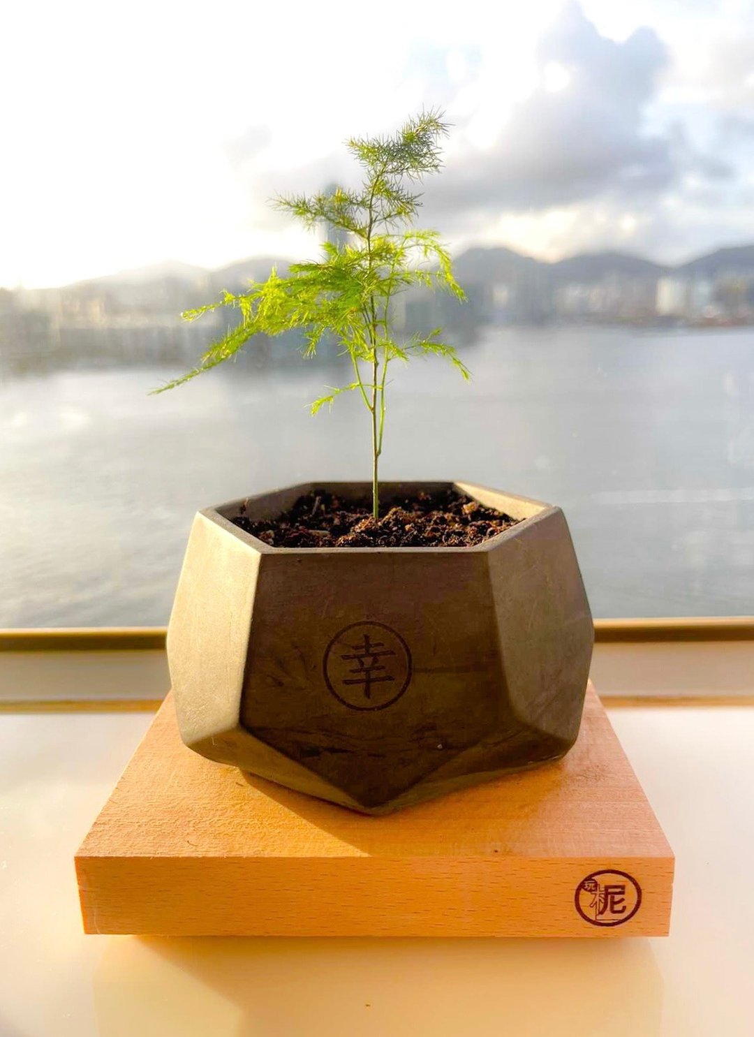 【体验】水泥 植物角盆 Workshop 手作 工作坊 周年 生日 转运来 - 其他 - 水泥 