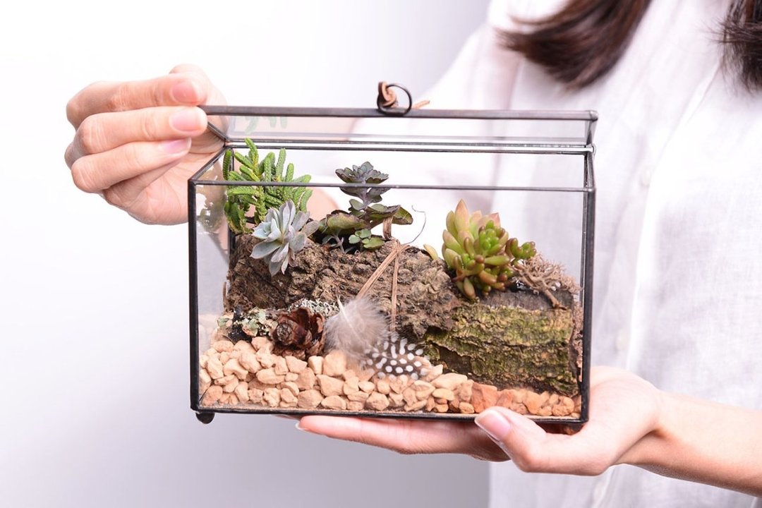玻璃 Loft 风格多肉组 | 工业风 升官 乔迁 开幕 盆栽 - 植栽/盆栽 - 植物．花 绿色