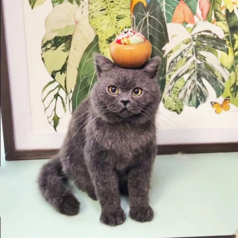 定制化礼物 逼真猫猫 羊毛毡 毛孩 宠物 娃娃 猫咪猫奴 似颜绘 c2 - 玩具 - 羊毛 多色