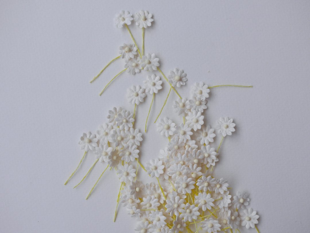 纸花，100朵。小雏菊DIY纸，尺寸1.00厘米，纱线，白色 - 其他 - 纸 白色