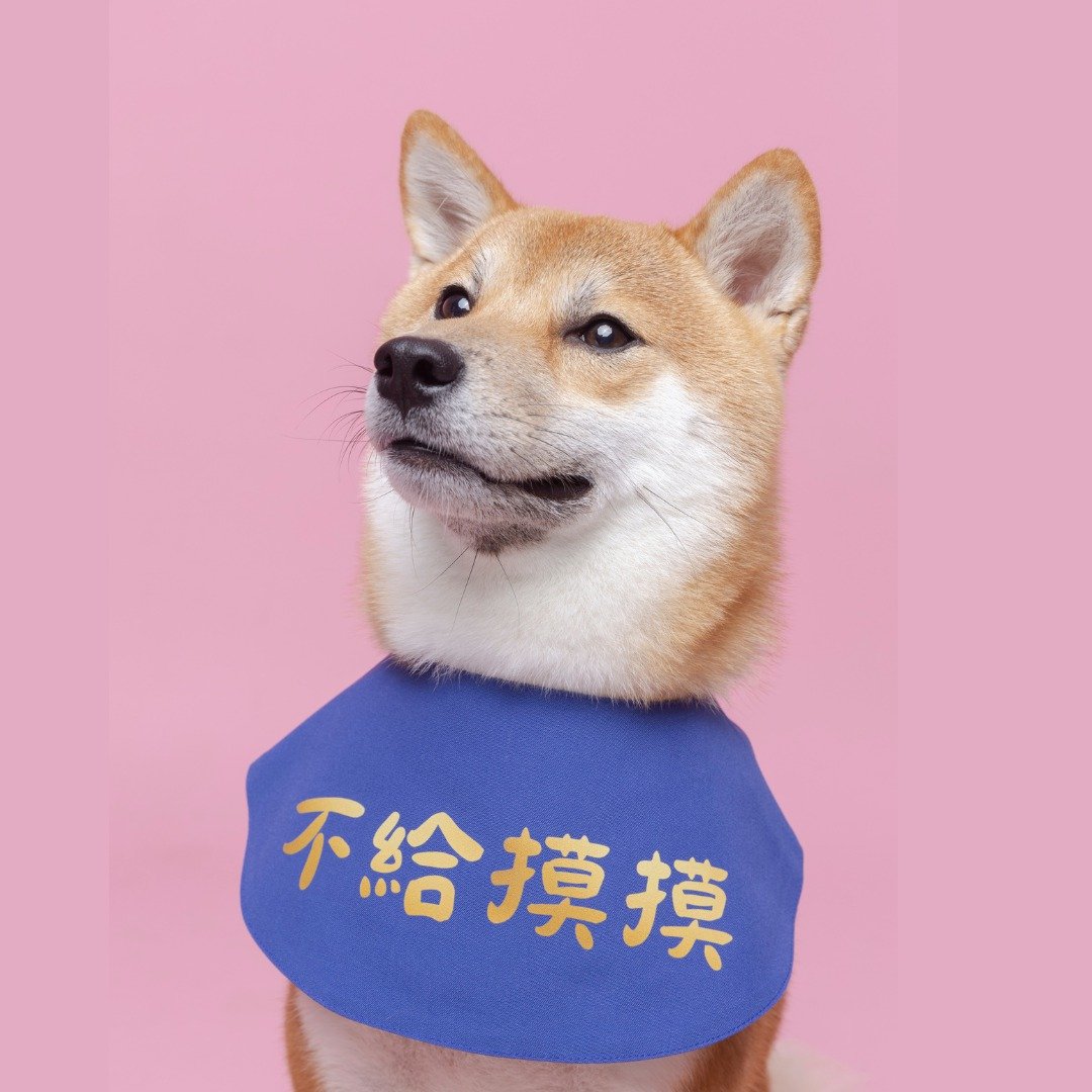 宠物国民领巾系列 | 不给摸摸 | - 衣/帽 - 棉 蓝色
