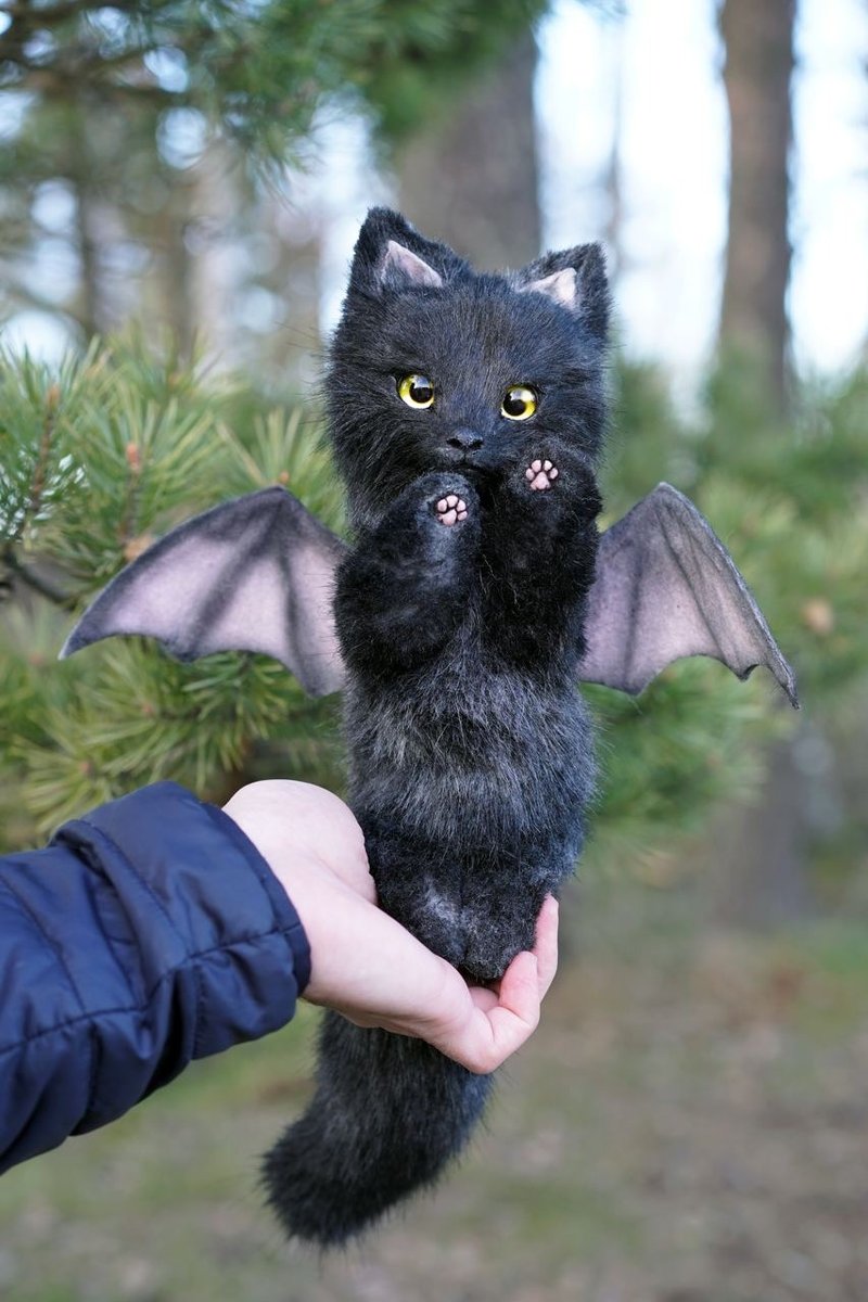 吸血翼龙宝宝 - 玩偶/公仔 - 其他材质 黑色