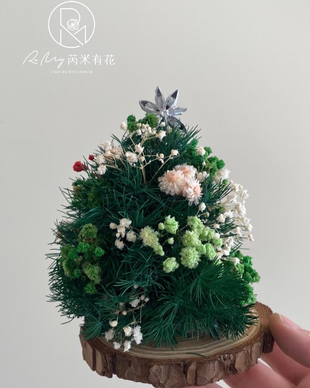 圣诞树交换礼物 松果耶诞名片木片桌花 - 干燥花/捧花 - 植物．花 绿色