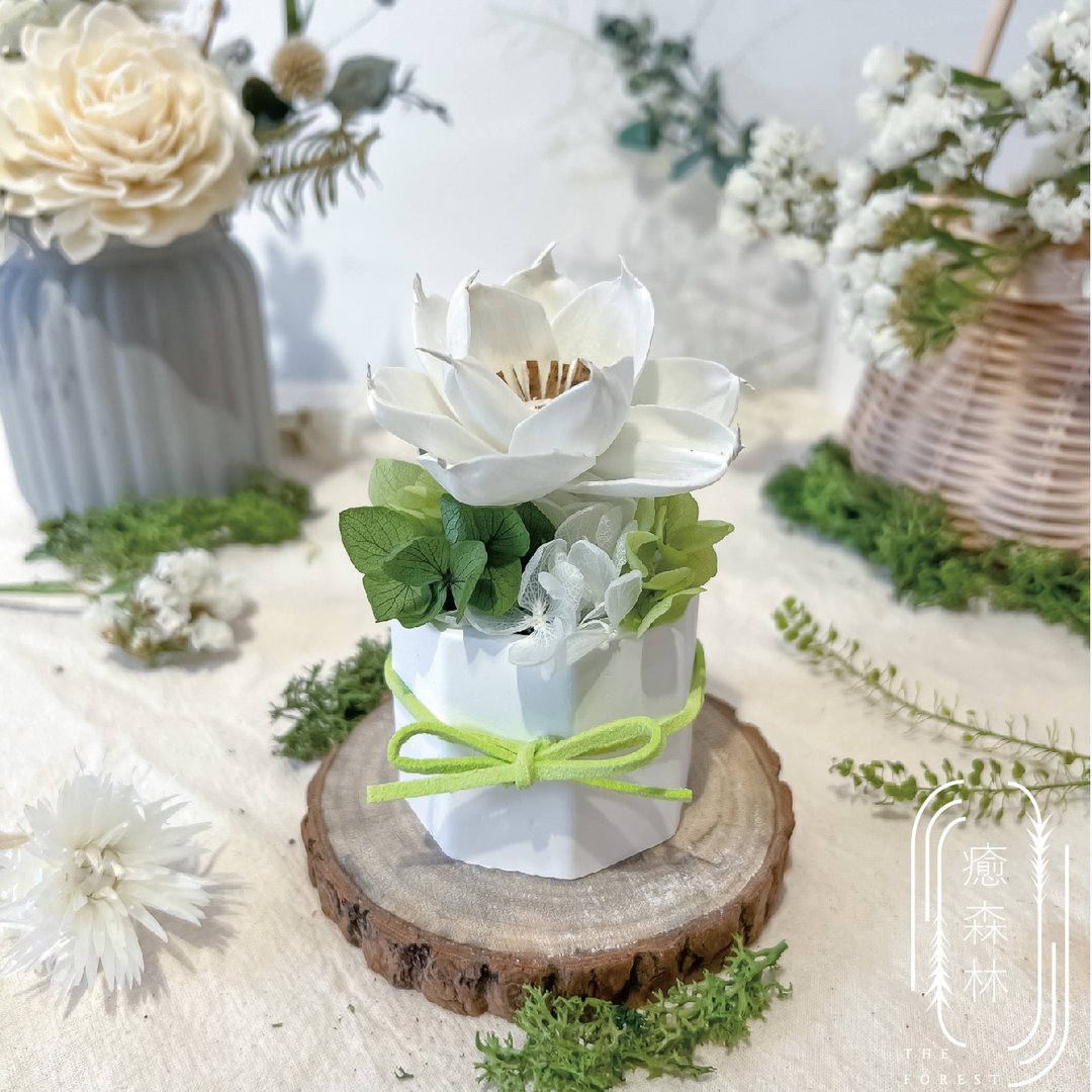 夏恋神奈川香氛扩香花 | 赠 5ml 香氛油 | 日系海岸风花礼 居家香氛 - 香薰/精油/线香 - 植物．花 绿色