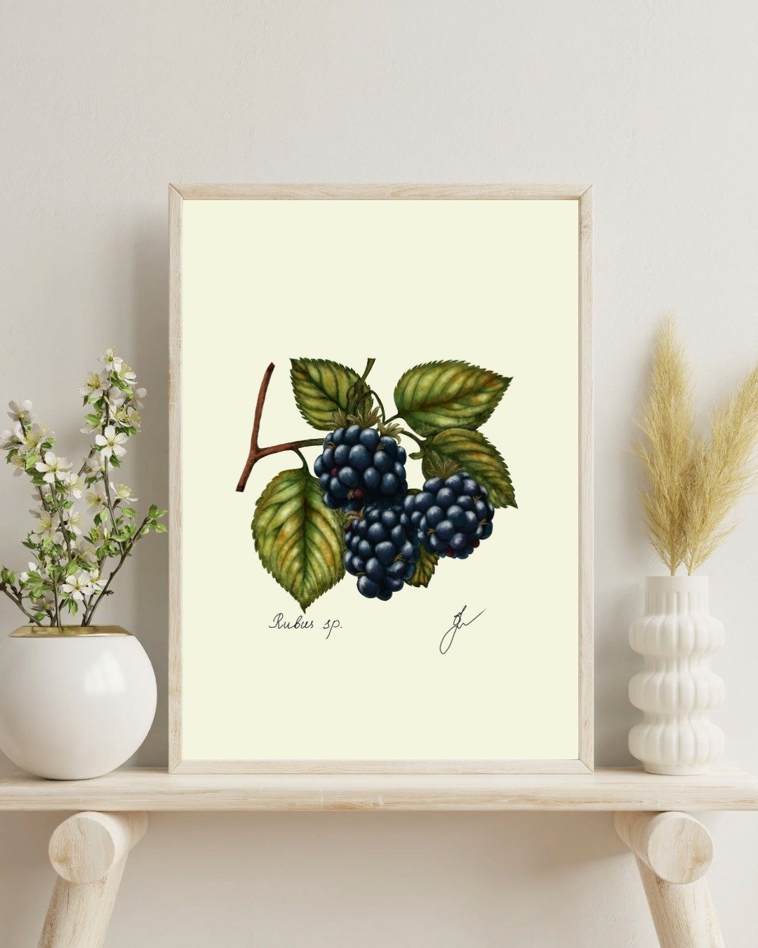 黑莓植物画 手绘水果挂画 - 电子手绘真人画像/绘画/插画 - 其他材质 