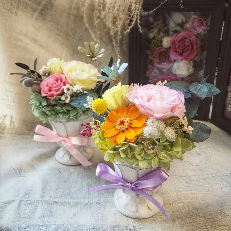 【母亲节礼盒】气质女孩永生桌花 新年盆栽 - 植栽/盆栽 - 植物．花 粉红色